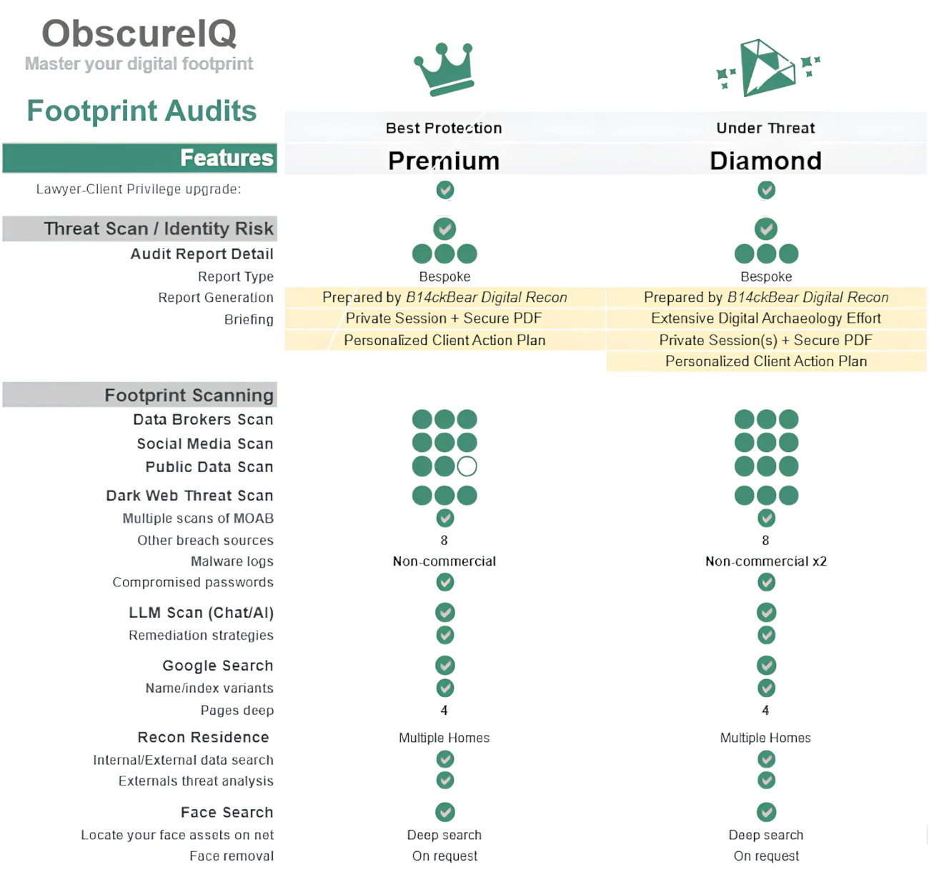 Premium Footprint Audits assess your risk